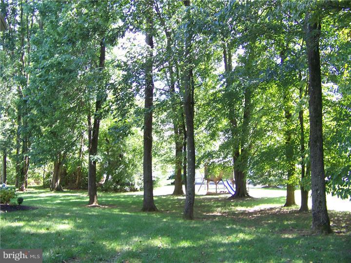 9 Old Forest Road Newtown Square, PA 19073 - Photo 3 of 20 Exterior Back
