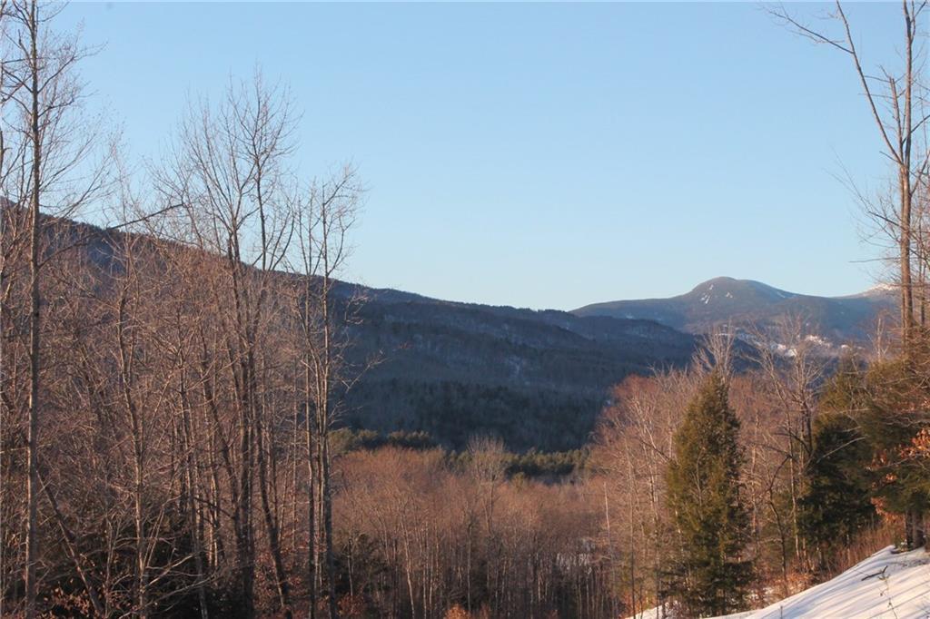 Lot 14 Thunder Ridge Road Newry, ME 04261 - Photo 4 of 6 Photo