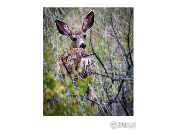 a picture of a bathroom with a toilet