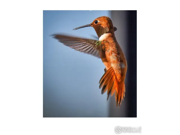 a picture of a room with a small yard and a potted plant