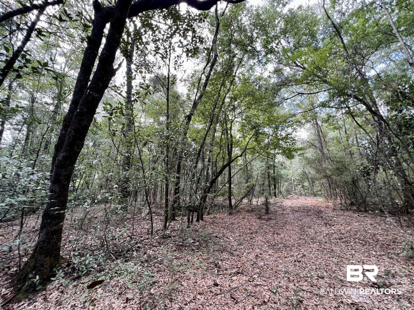 0 Bear Fork Road Mobile, AL 36618 - Photo 32 of 50