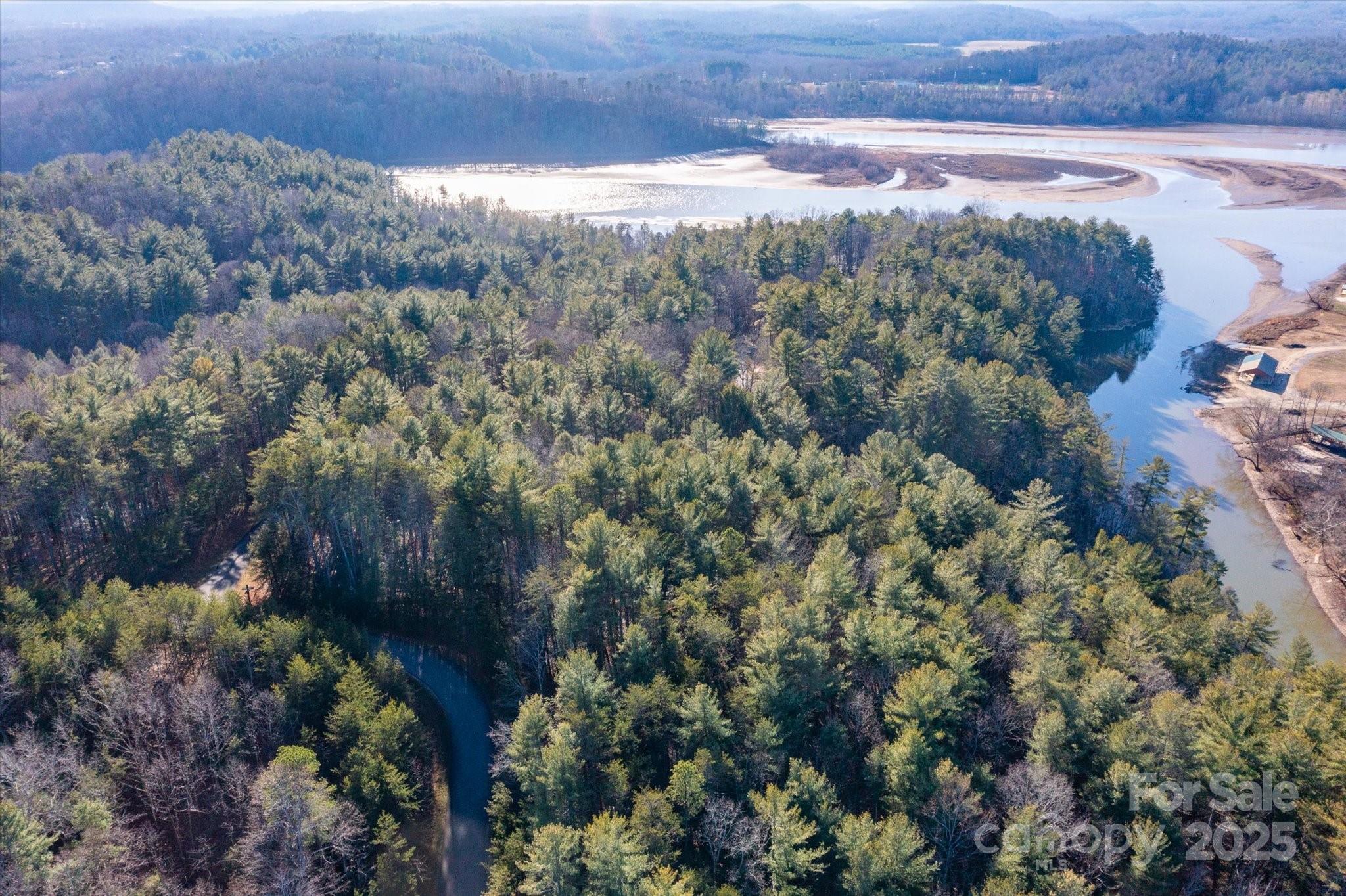 a view of a yard with plants and large trees