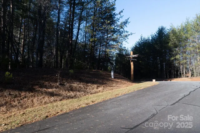a backyard of a house with lots of green space and trees