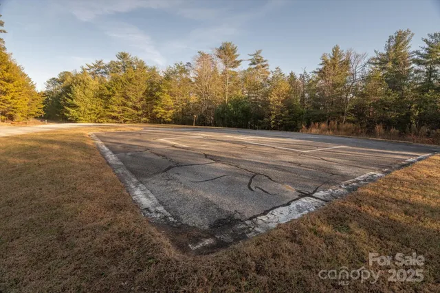 a view of yard with green space
