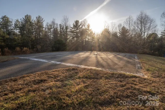 a view of a yard with trees