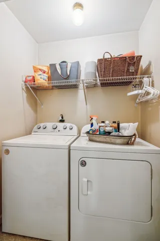 a view of a tree in a yard