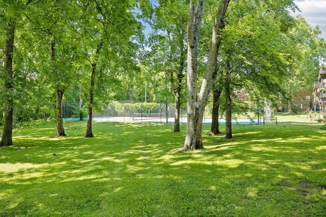 a view of an outdoor space