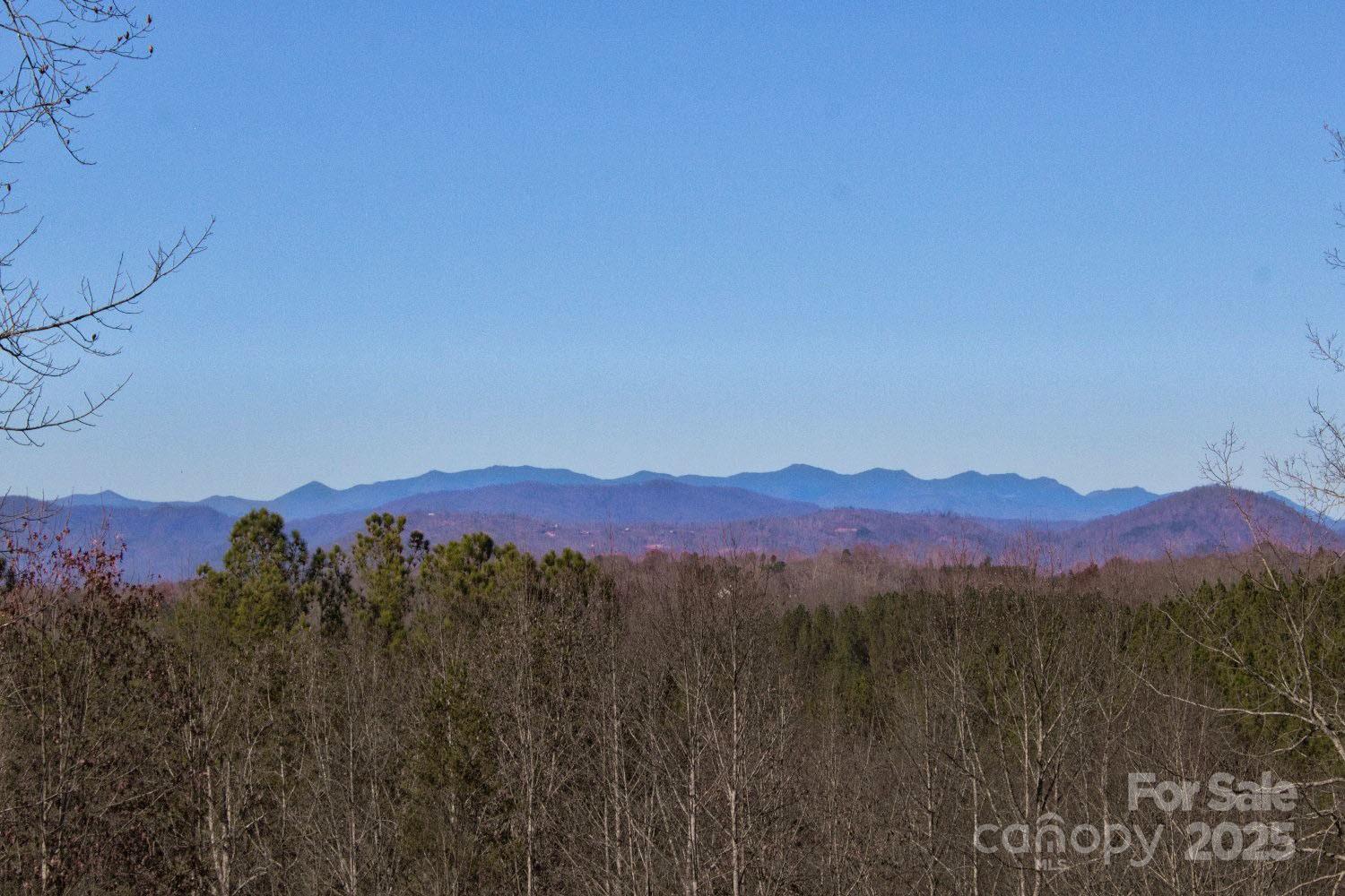 196 Moriah Drive Rutherfordton, NC 28139 - Photo 18 of 21 a view of a city and a mountain