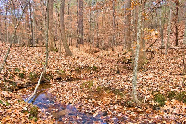 a view of covered with snow
