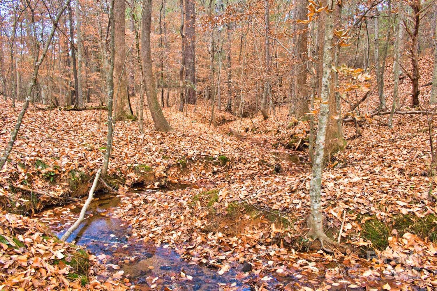 196 Moriah Drive Rutherfordton, NC 28139 - Photo 19 of 21 a view of covered with snow