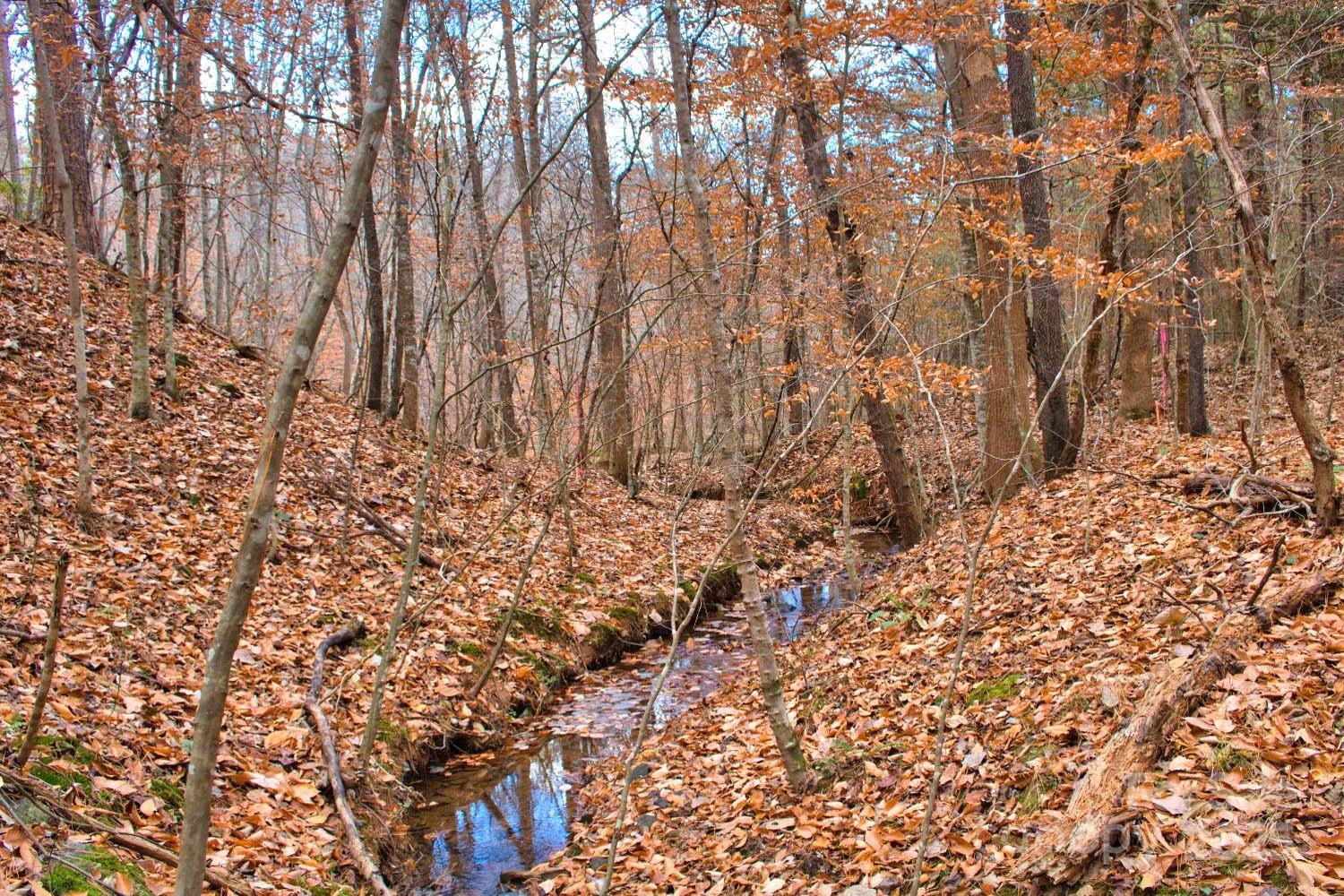 196 Moriah Drive Rutherfordton, NC 28139 - Photo 20 of 21