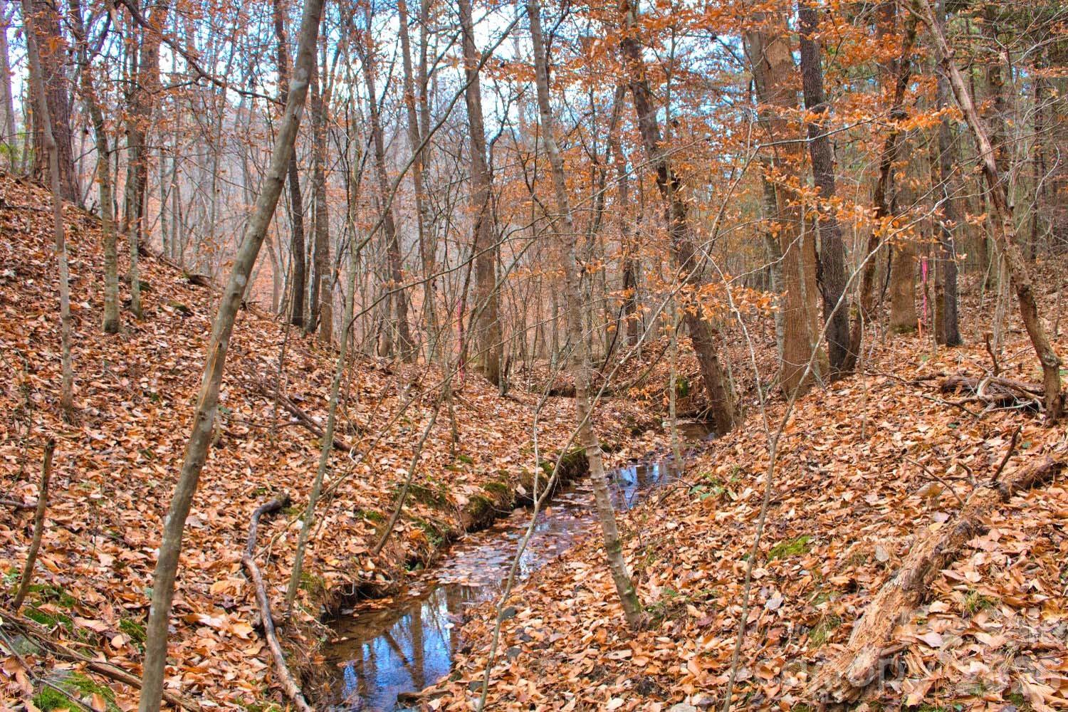 196 Moriah Drive Rutherfordton, NC 28139 - Photo 20 of 21