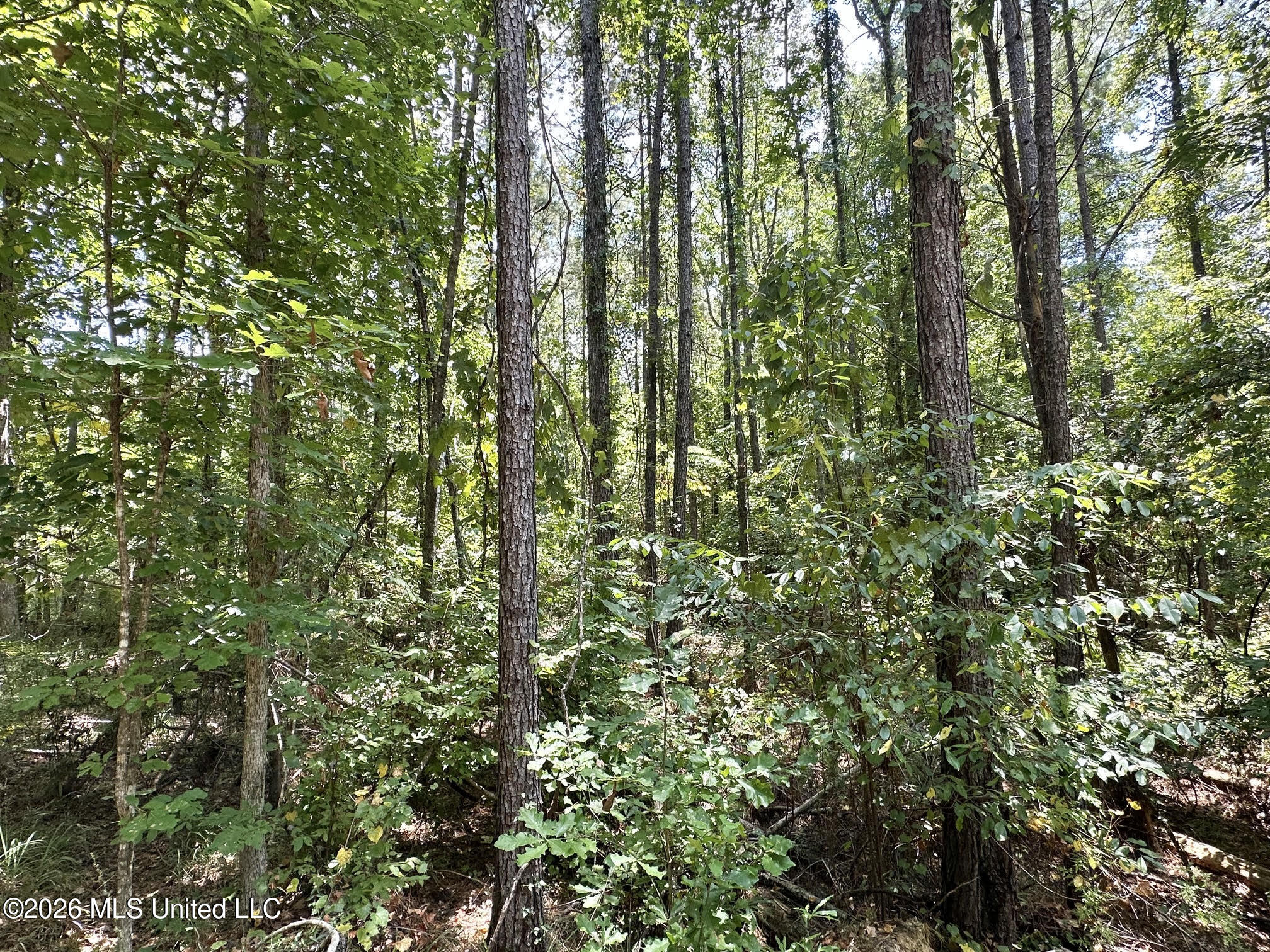 84 Highway 84 Roxie, MS 39661 - Photo 17 of 33 20