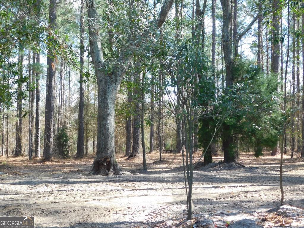 80 Bowen Road Cobbtown, GA 30420 - Photo 1 of 1 Main View
