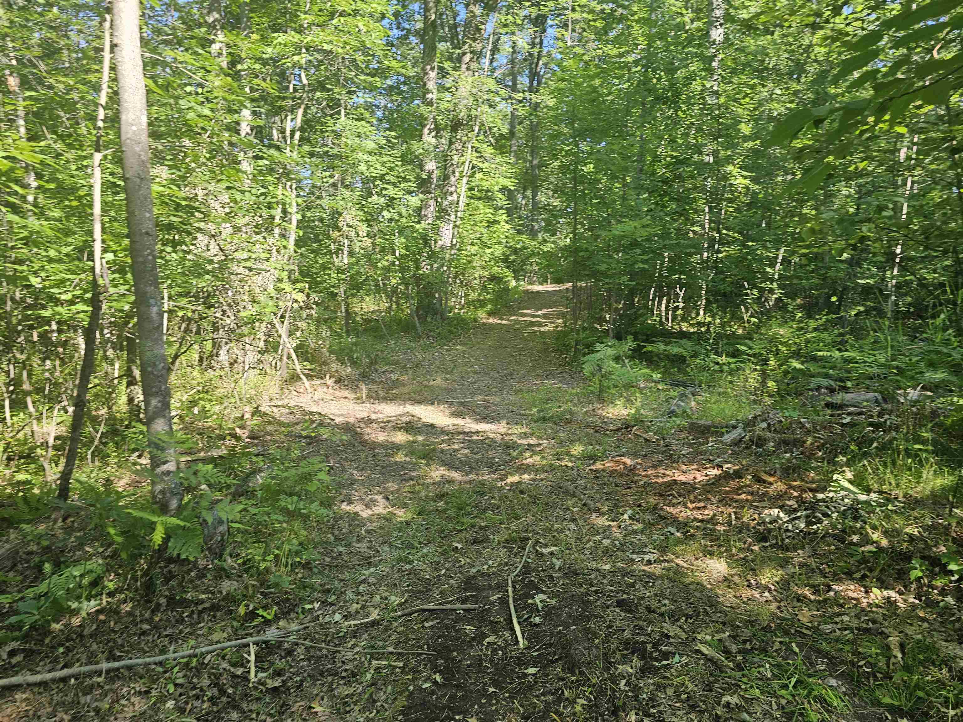 0 Barber Road Hale, MI 48739 - Photo 31 of 34