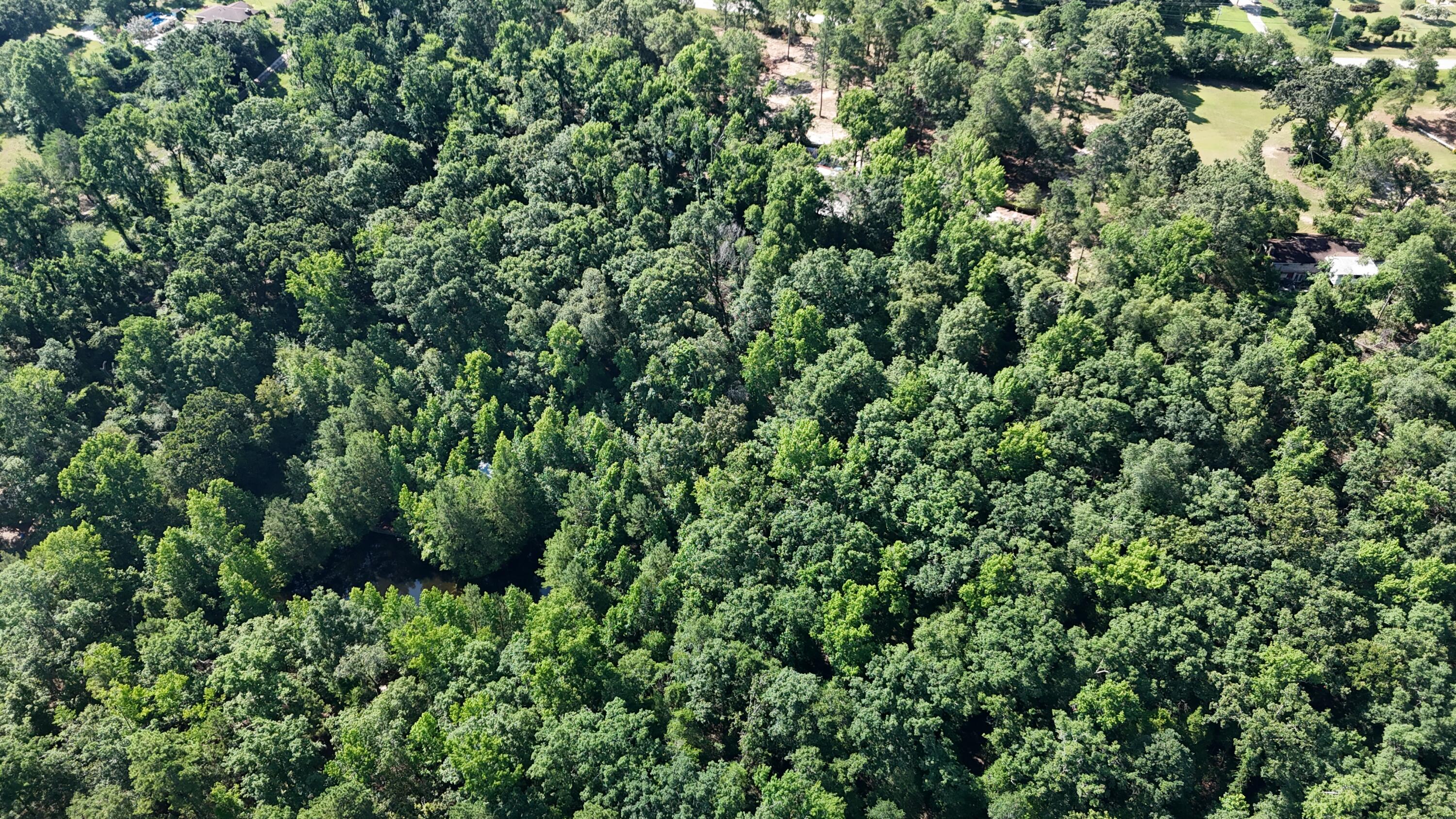 2031 McDade Road Hephzibah, GA 30815 - Photo 11 of 16 DJI_20250626102141_0074_D