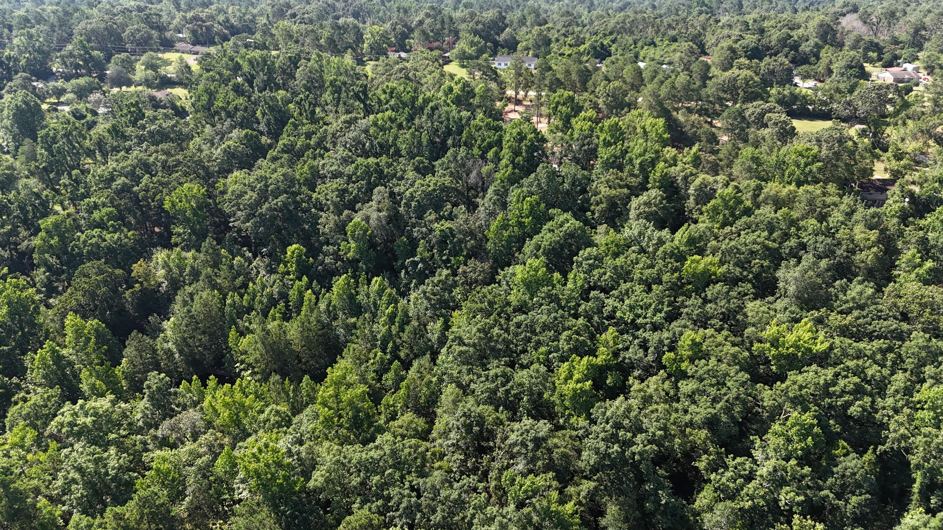 2031 McDade Road Hephzibah, GA 30815 - Photo 12 of 16 DJI_20250626102216_0075_D