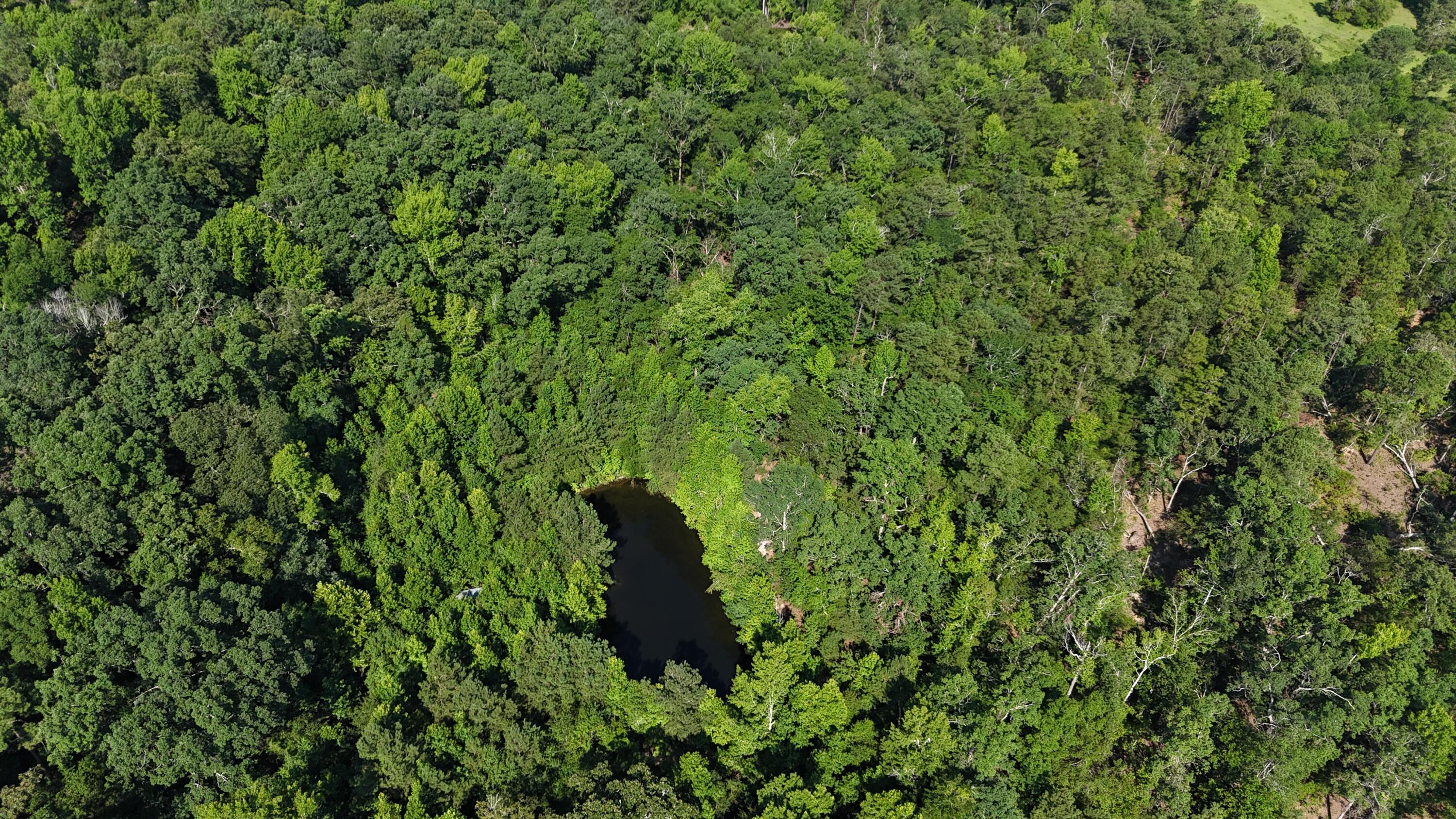 2031 McDade Road Hephzibah, GA 30815 - Photo 13 of 16 DJI_20250626102453_0082_D