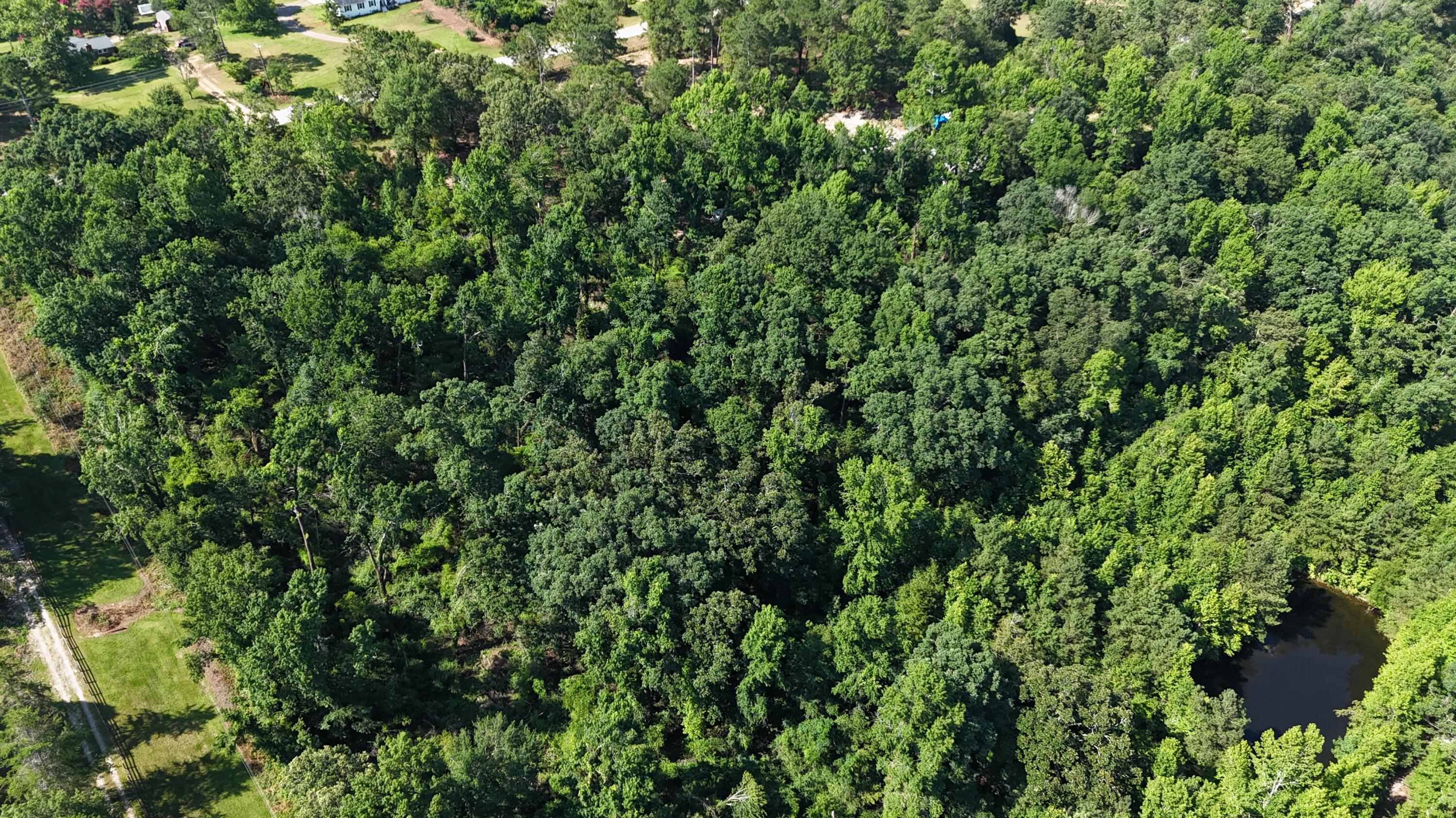 2031 McDade Road Hephzibah, GA 30815 - Photo 14 of 16 DJI_20250626102512_0083_D