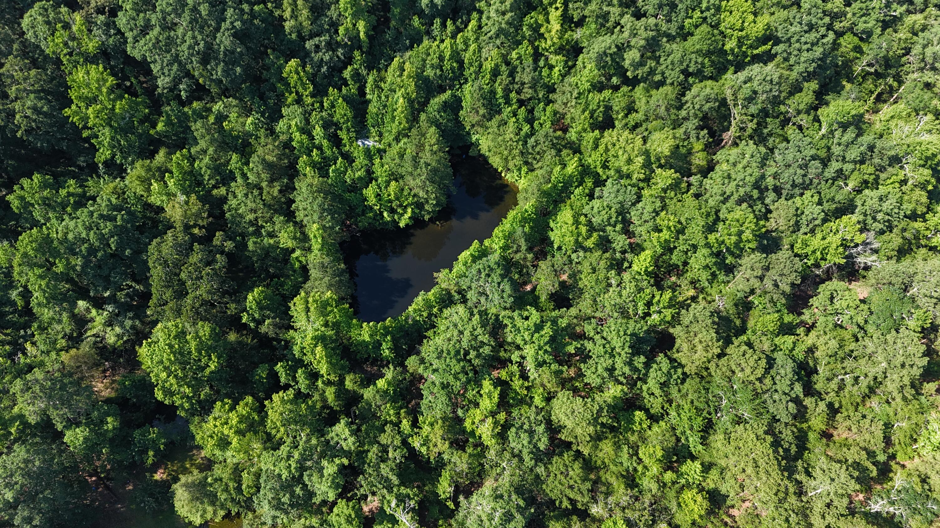 2031 McDade Road Hephzibah, GA 30815 - Photo 15 of 16 DJI_20250626102547_0084_D