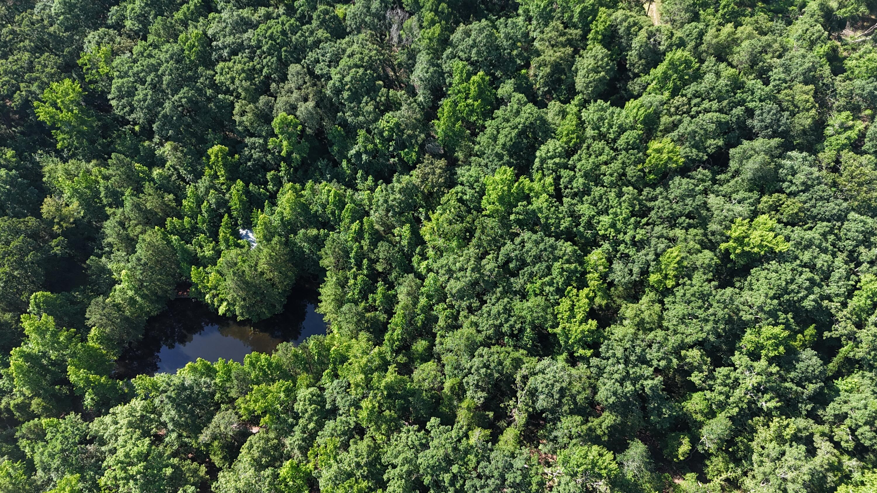 2031 McDade Road Hephzibah, GA 30815 - Photo 16 of 16 DJI_20250626102604_0085_D