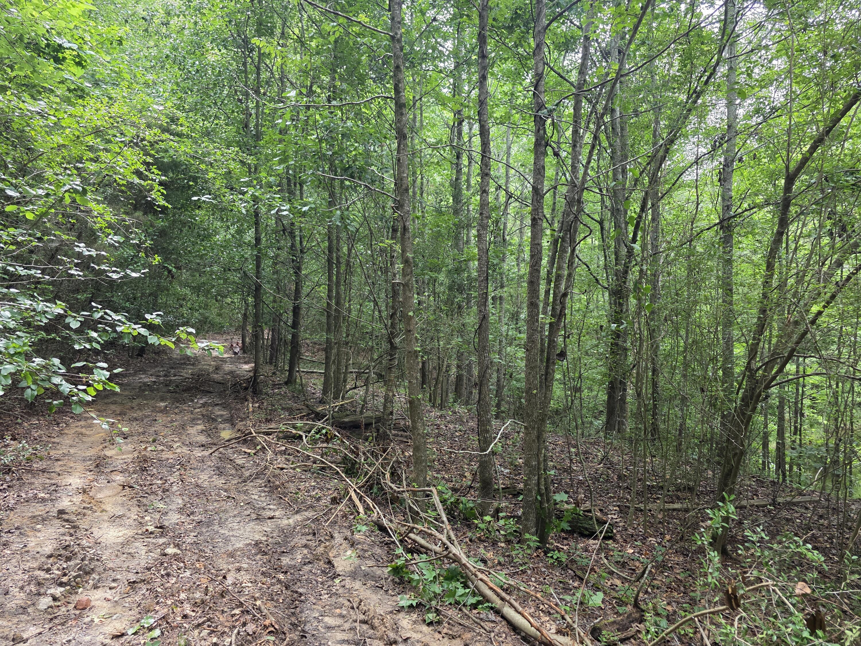 2031 McDade Road Hephzibah, GA 30815 - Photo 2 of 16 1000012231