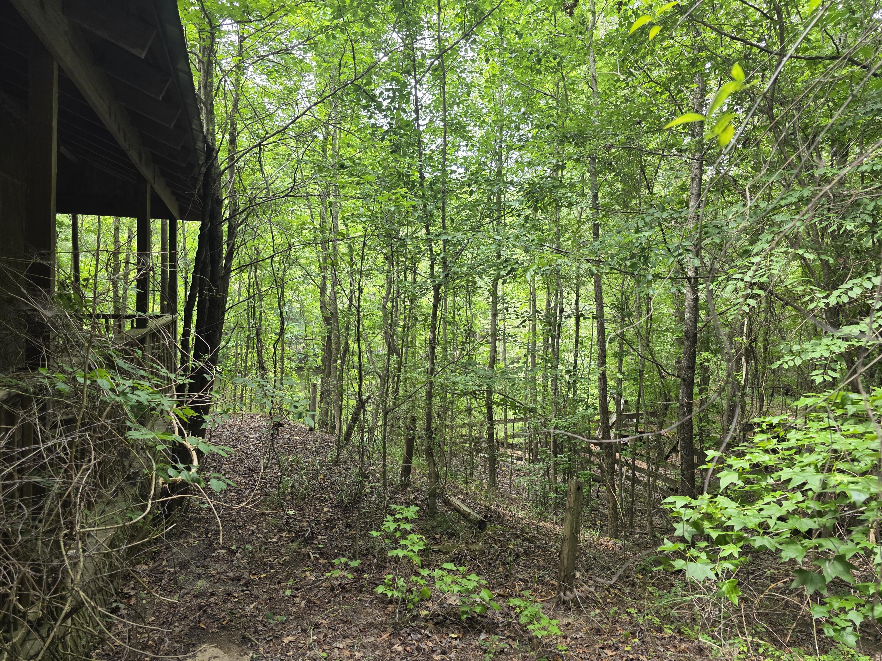 2031 McDade Road Hephzibah, GA 30815 - Photo 3 of 16 1000012232