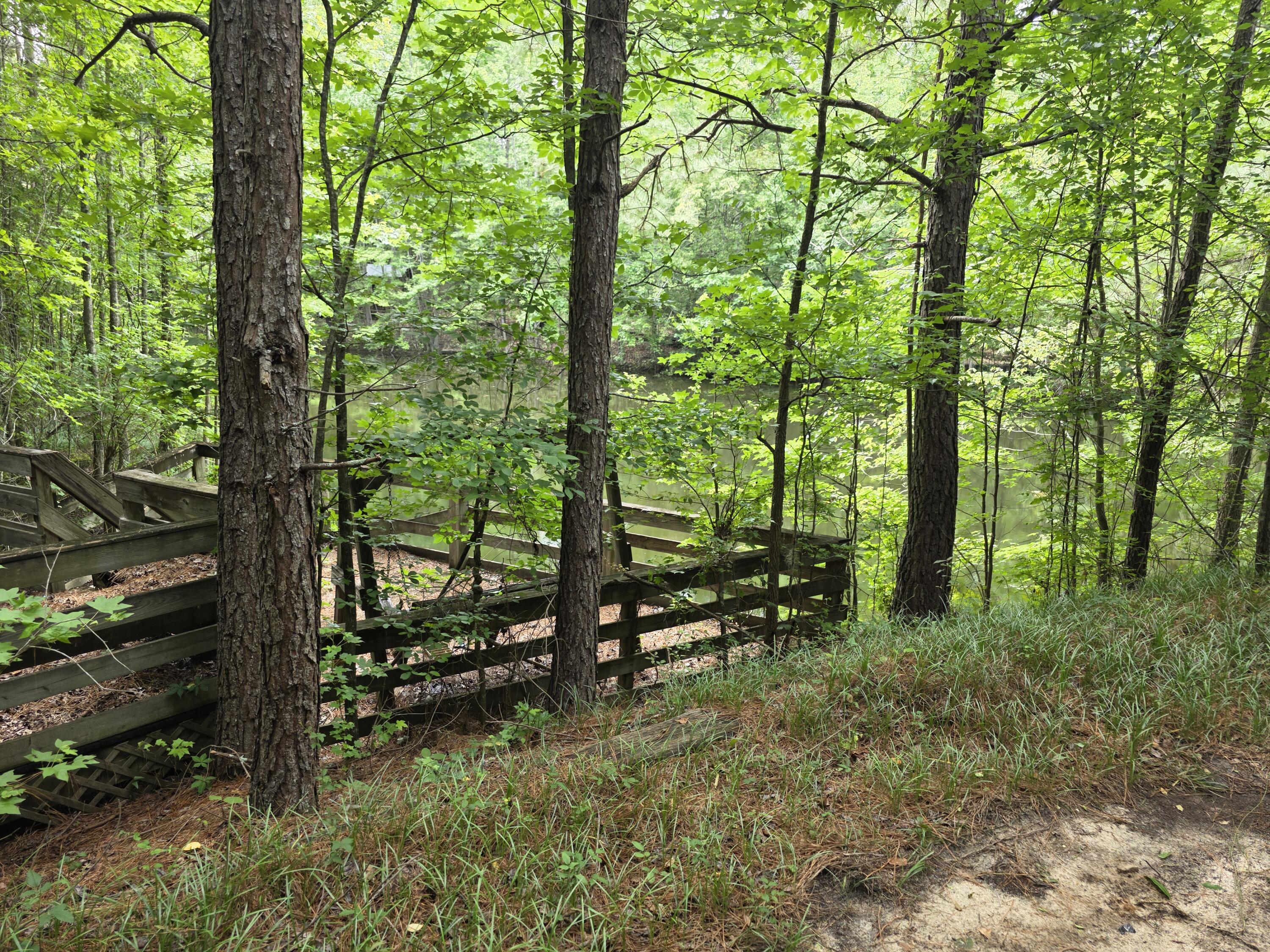 2031 McDade Road Hephzibah, GA 30815 - Photo 4 of 16 1000012233