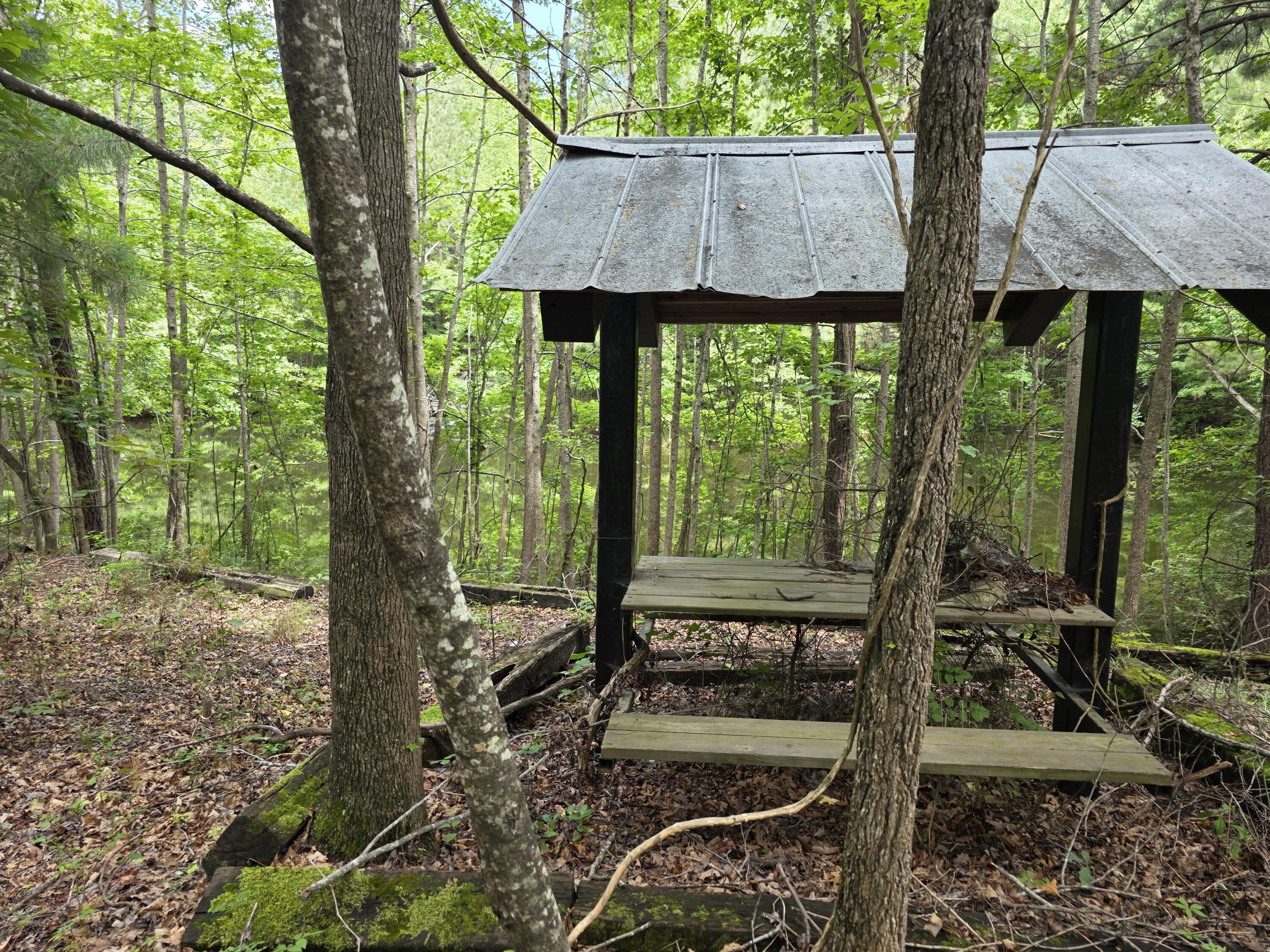 2031 McDade Road Hephzibah, GA 30815 - Photo 5 of 16 1000012236