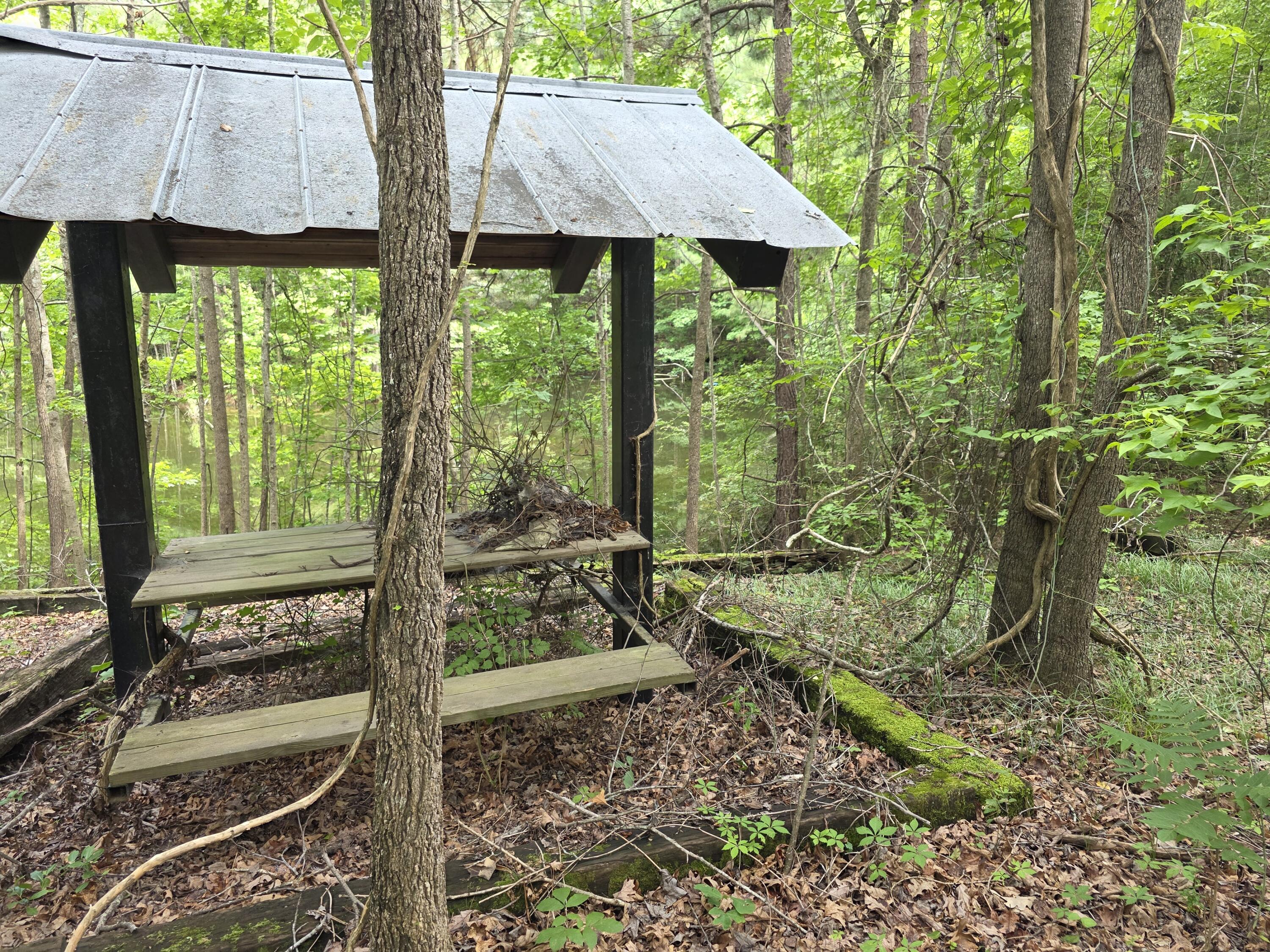 2031 McDade Road Hephzibah, GA 30815 - Photo 6 of 16 1000012237