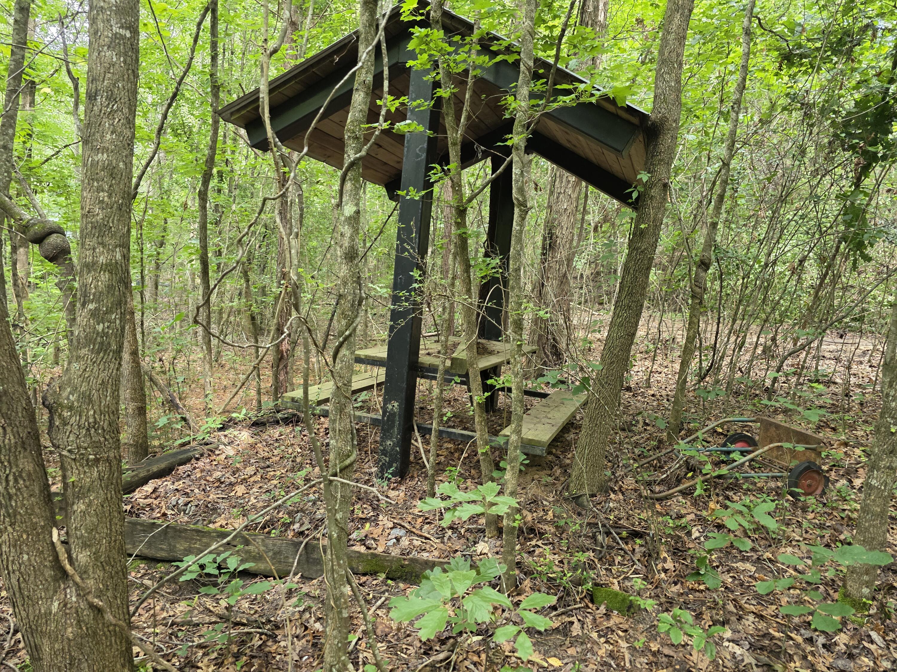 2031 McDade Road Hephzibah, GA 30815 - Photo 7 of 16 1000012238