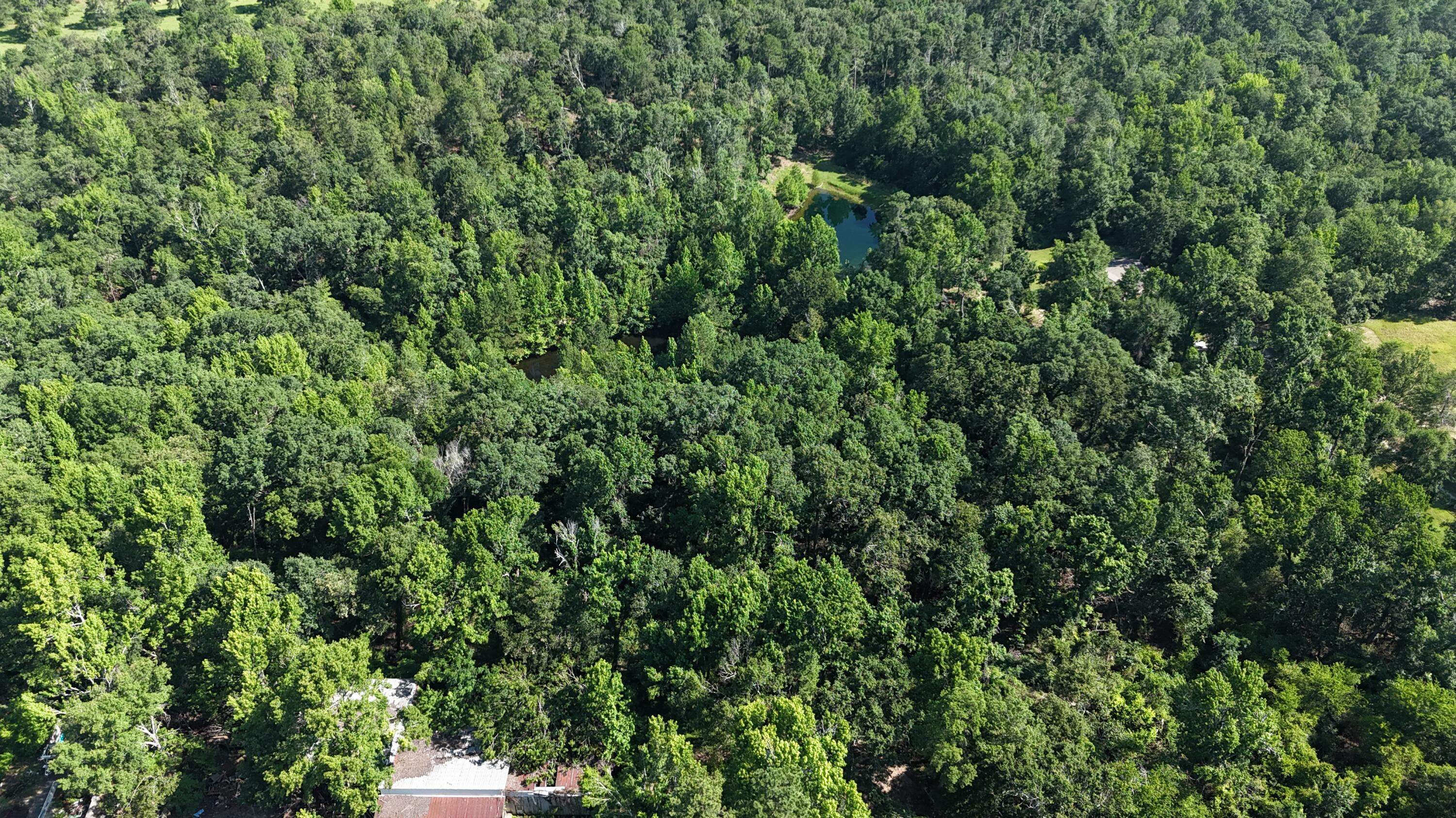 2031 McDade Road Hephzibah, GA 30815 - Photo 9 of 16 DJI_20250626102017_0071_D