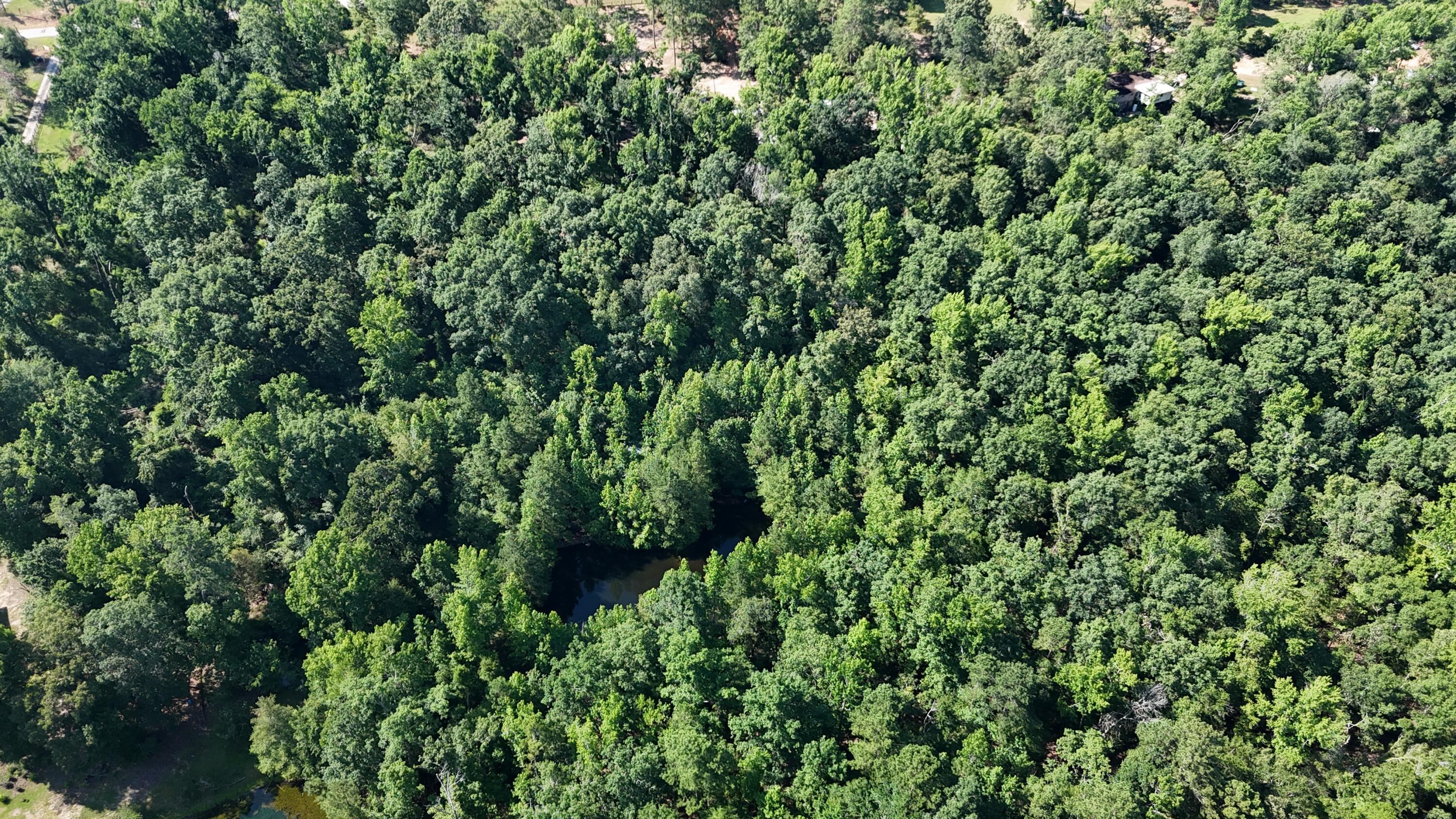 2031 McDade Road Hephzibah, GA 30815 - Photo 10 of 16 DJI_20250626102124_0073_D