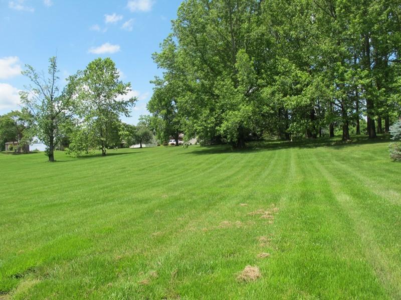 0 Raccoon Valley Road Makanda, IL 62958 - Photo 1 of 11 Gallery Image 1