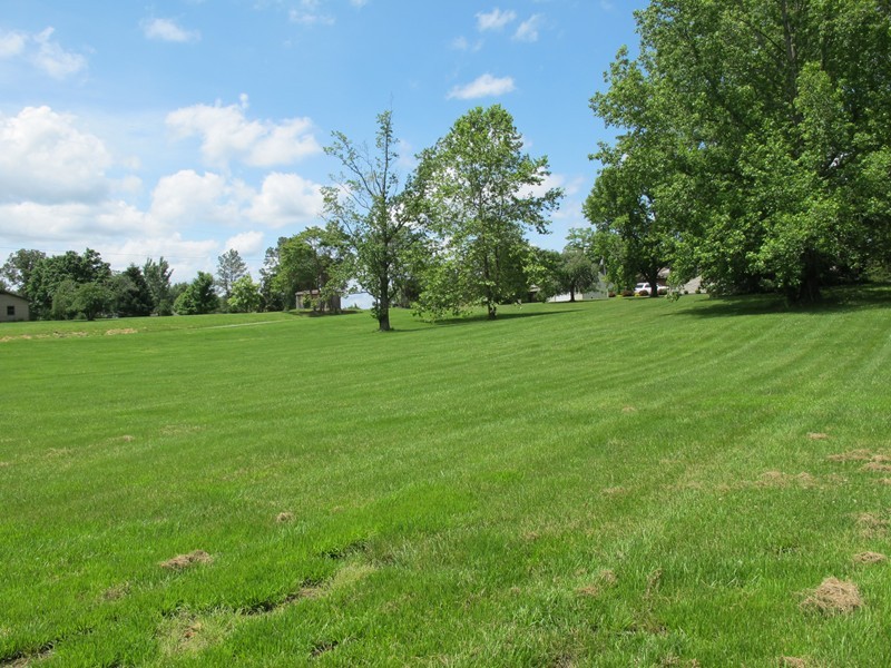 0 Raccoon Valley Road Makanda, IL 62958 - Photo 11 of 11 Gallery Image 11