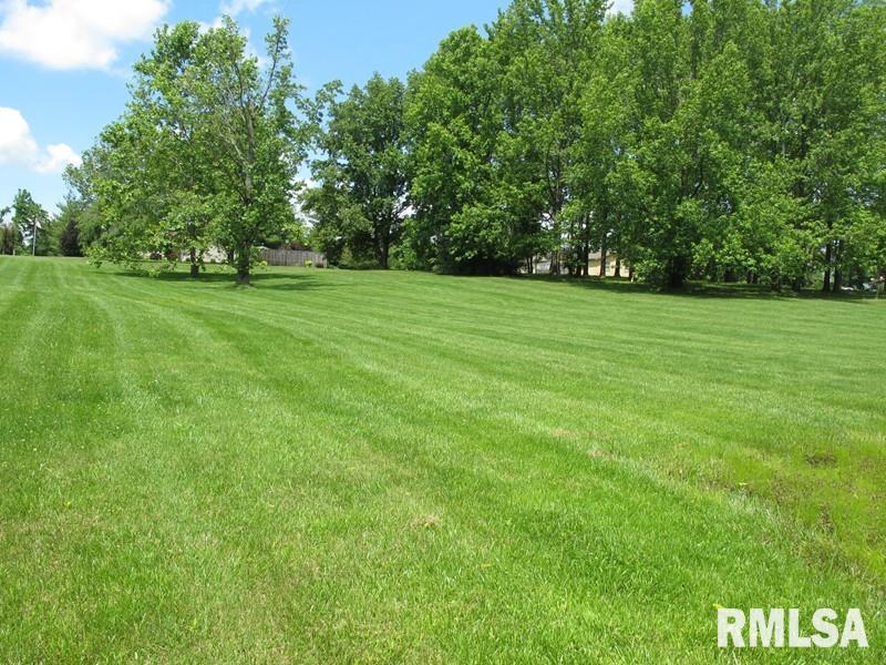0 Raccoon Valley Road Makanda, IL 62958 - Photo 2 of 11 Gallery Image 2