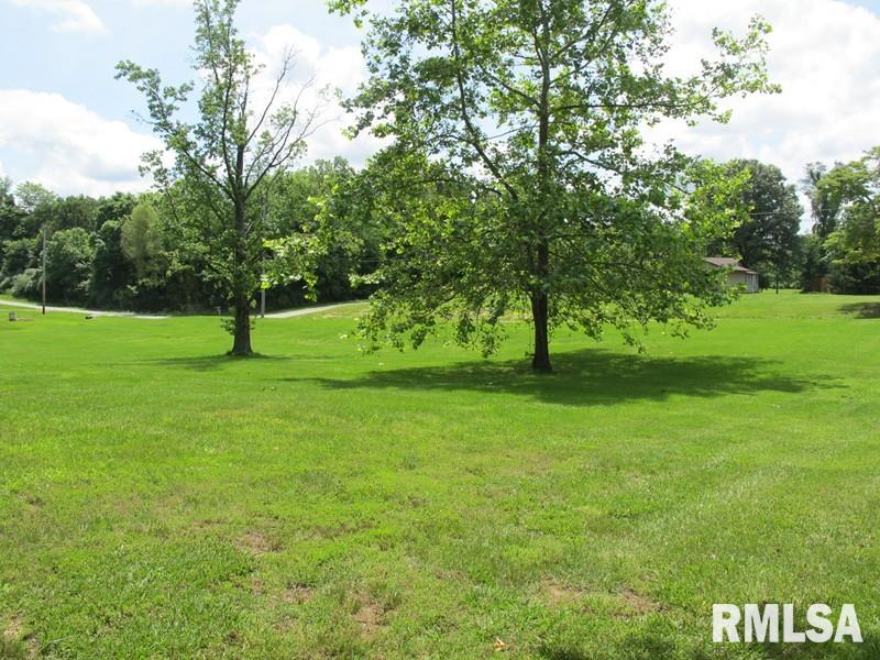 0 Raccoon Valley Road Makanda, IL 62958 - Photo 3 of 11 Gallery Image 3