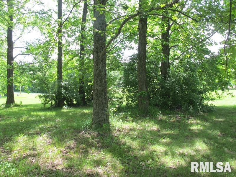 0 Raccoon Valley Road Makanda, IL 62958 - Photo 4 of 11 Gallery Image 4