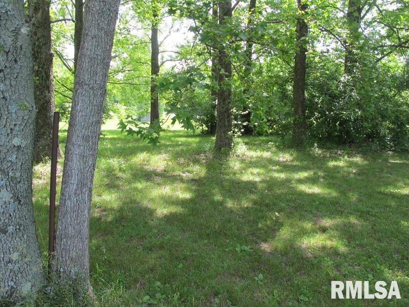 0 Raccoon Valley Road Makanda, IL 62958 - Photo 8 of 11 Gallery Image 8