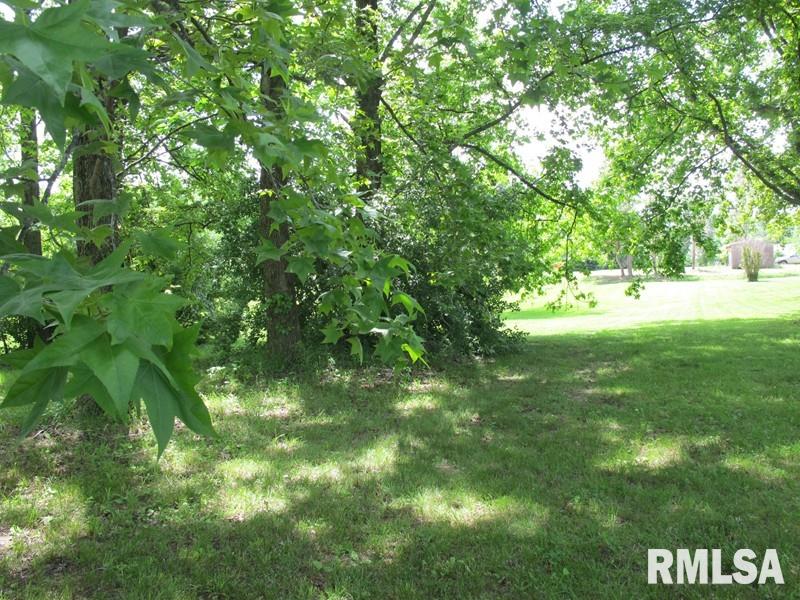 0 Raccoon Valley Road Makanda, IL 62958 - Photo 9 of 11 Gallery Image 9