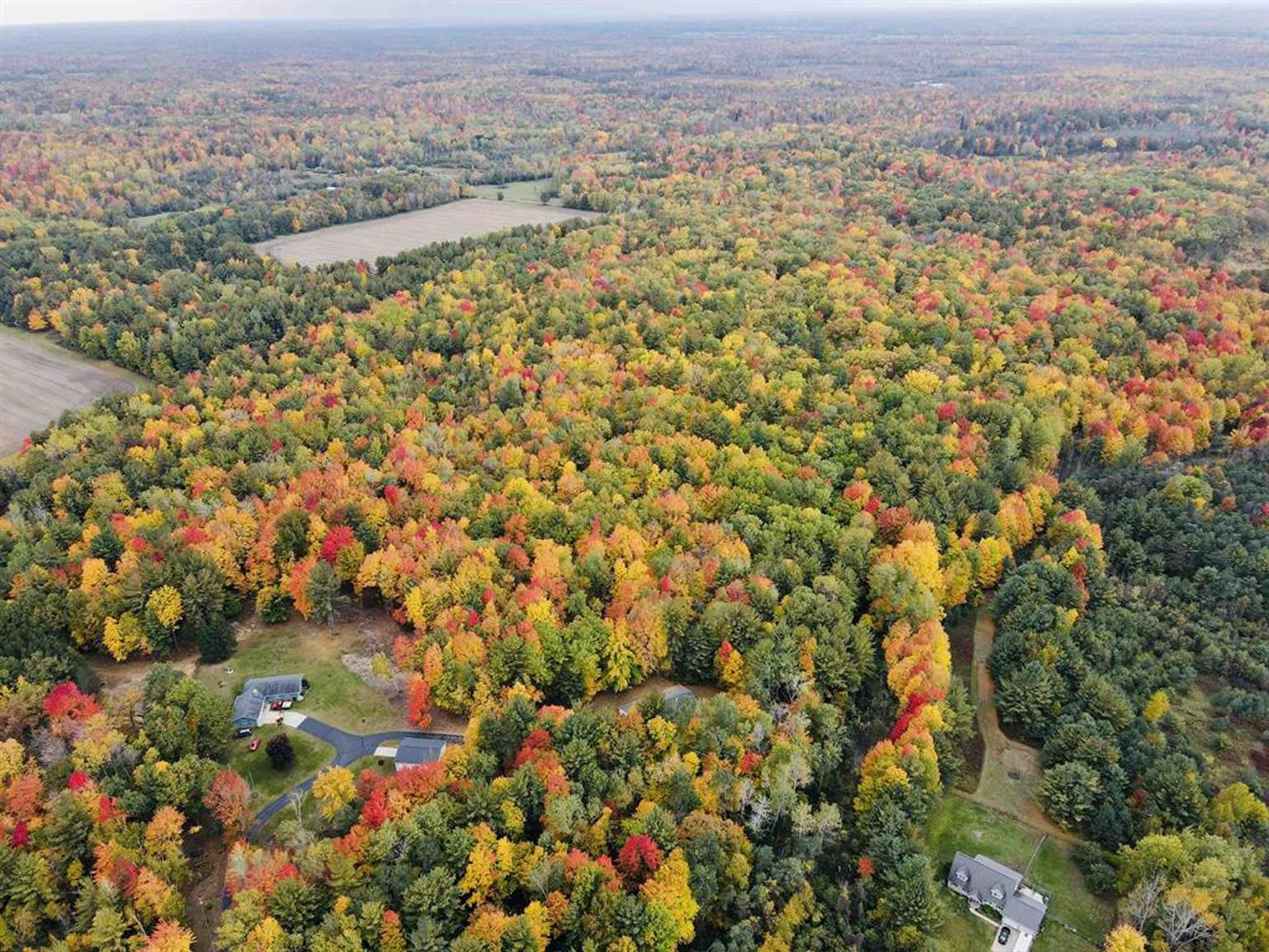 Vl North Neiner Road Beaverton, MI 48612 - Photo 12 of 14