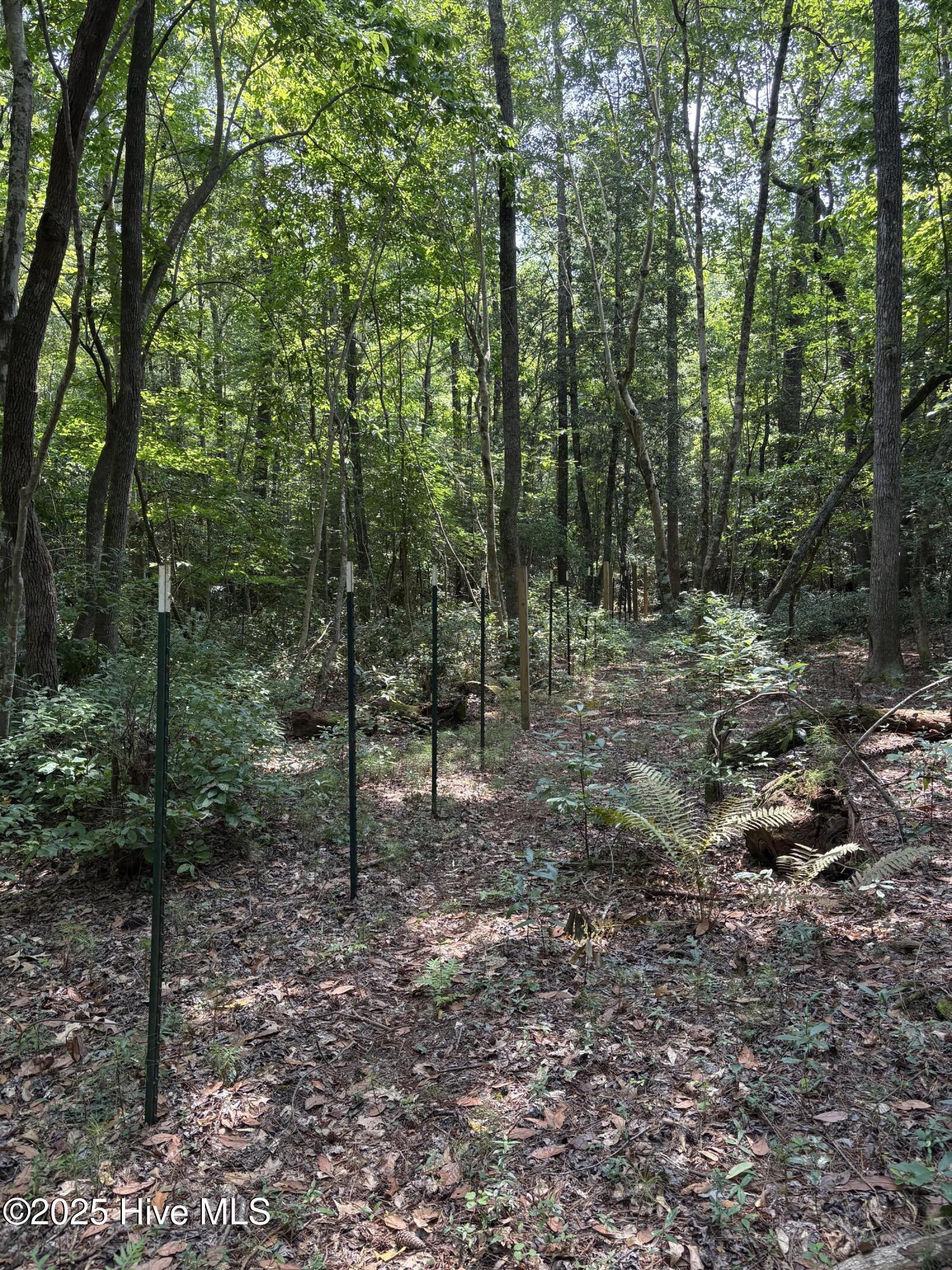 232 Tiptoe Road Edenton, NC 27932 - Photo 28 of 32 There is a nice walking trail through the woods. At the back is additional poles ready for fencing to be strung. Tons of work has gone into the poles already affixed in the ground.
