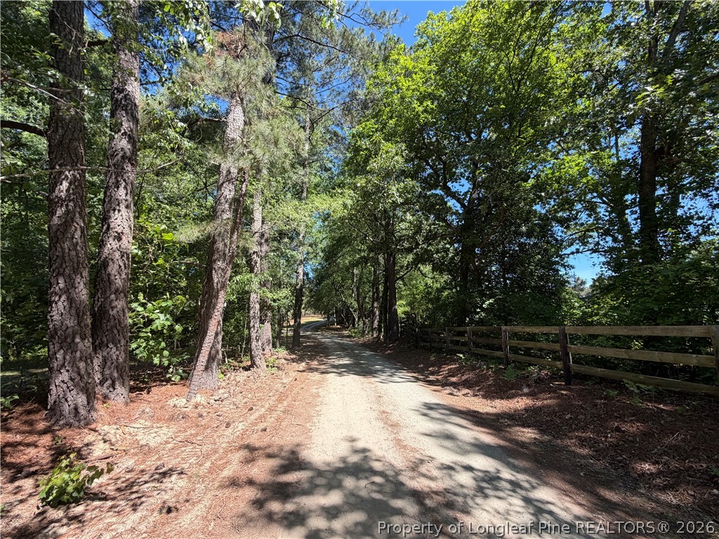 1098 Cedar Lane Road Sanford, NC 27332 - Photo 3 of 12 Easement Entrance