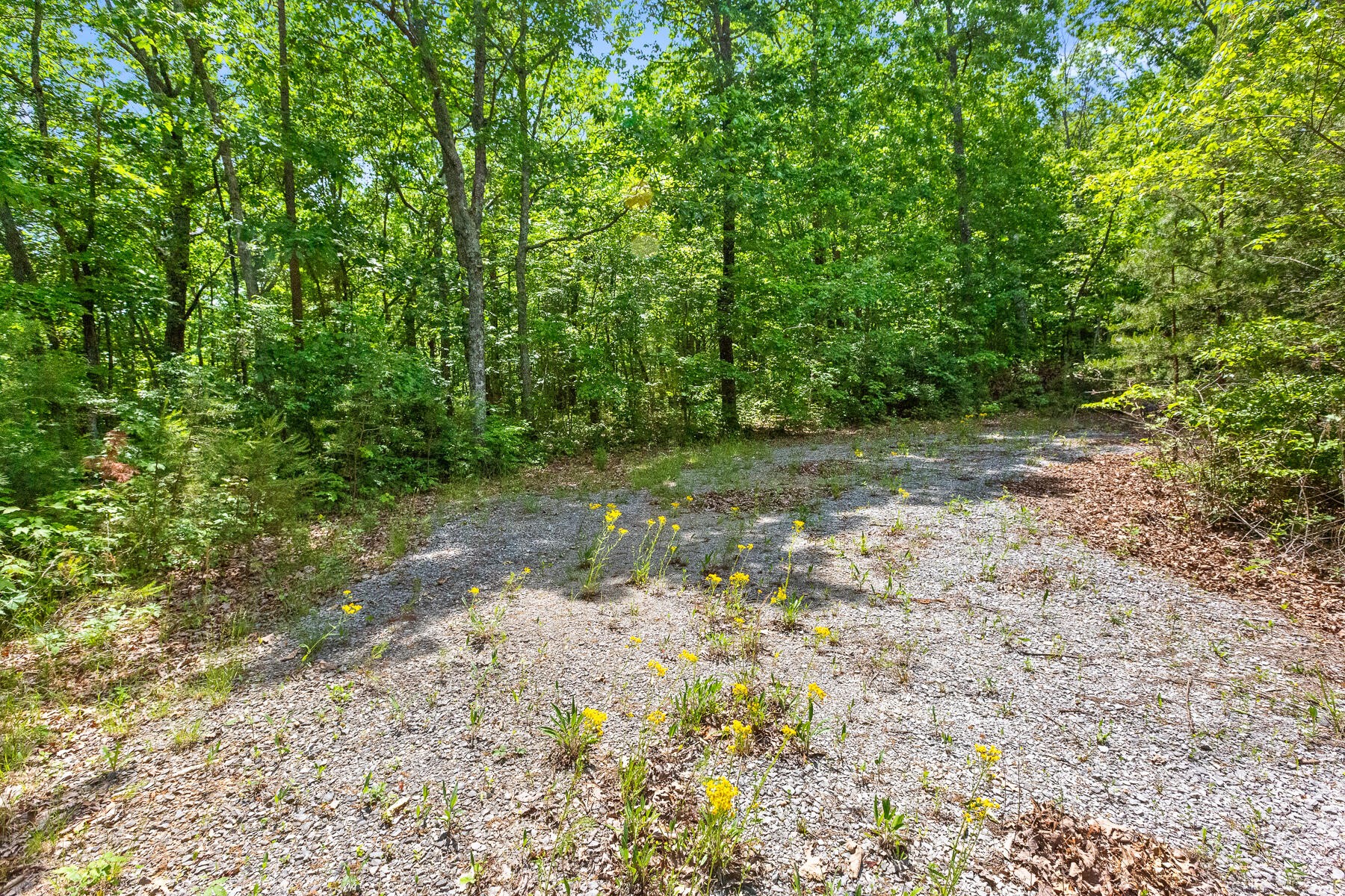 0 Highway 157 Rising Fawn, GA 30738 - Photo 20 of 32 Gallery Image 20