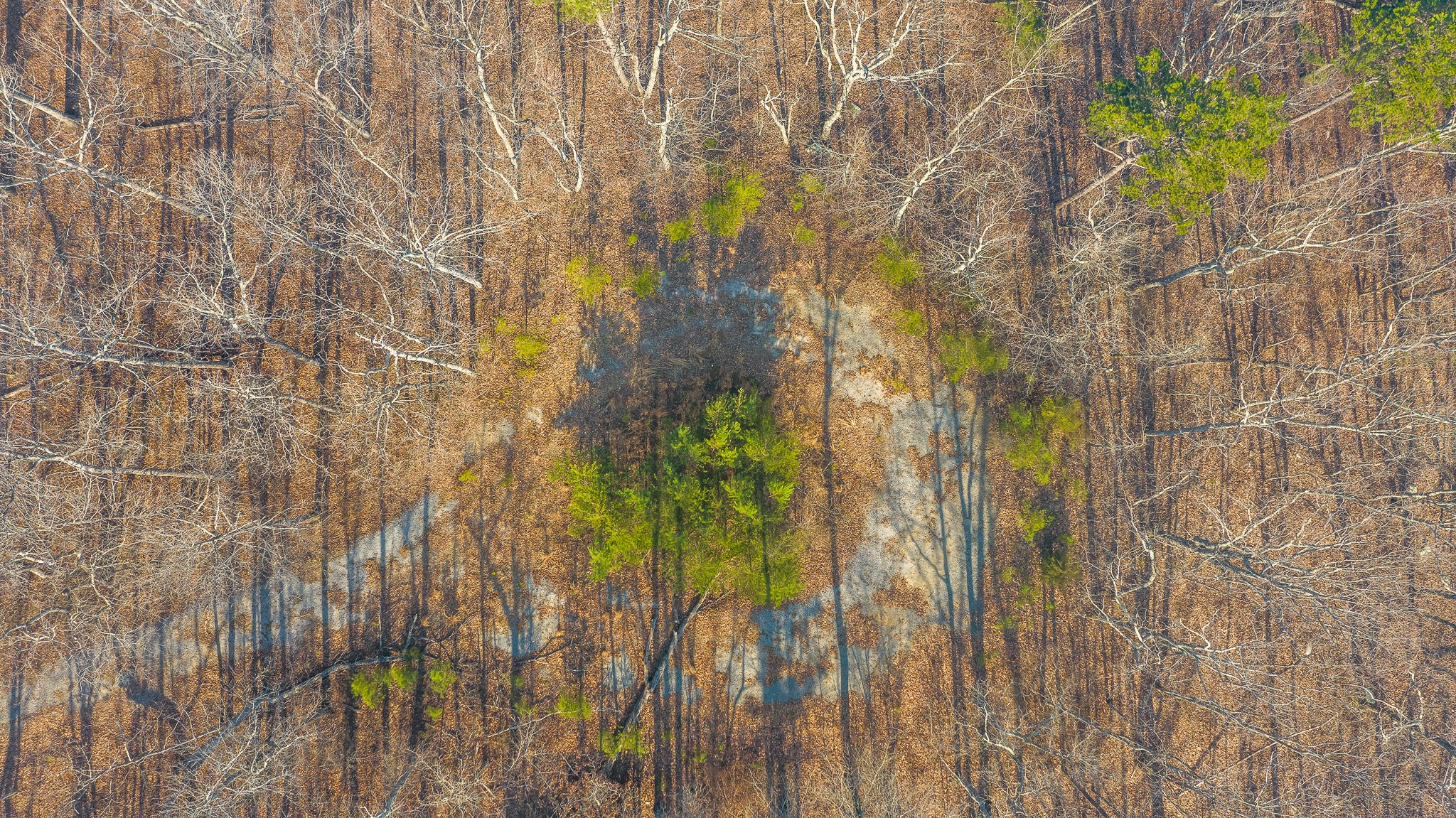 0 Highway 157 Rising Fawn, GA 30738 - Photo 29 of 32 Gallery Image 29