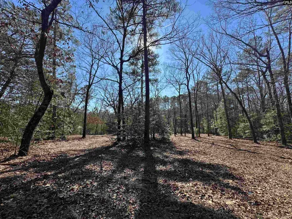 $225,000 | 622 Juniper Springs Road, Gilbert, SC 29054