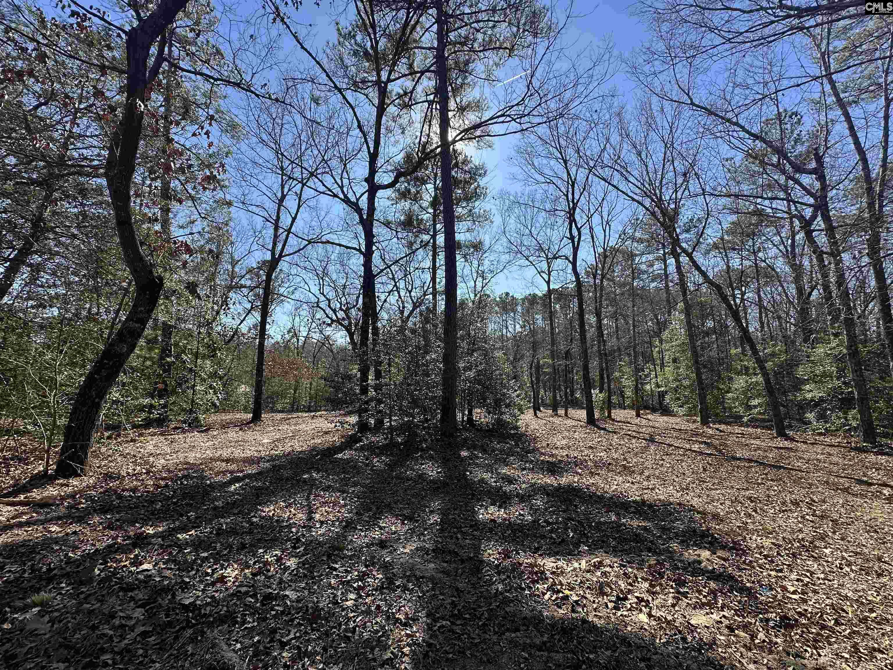 622 Juniper Springs Road Gilbert, SC 29054 - Photo 1 of 10