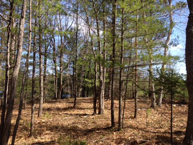 On Pickerel Lake Road Eagle River, WI 54521 - Photo 10 of 12 Gallery Image 10