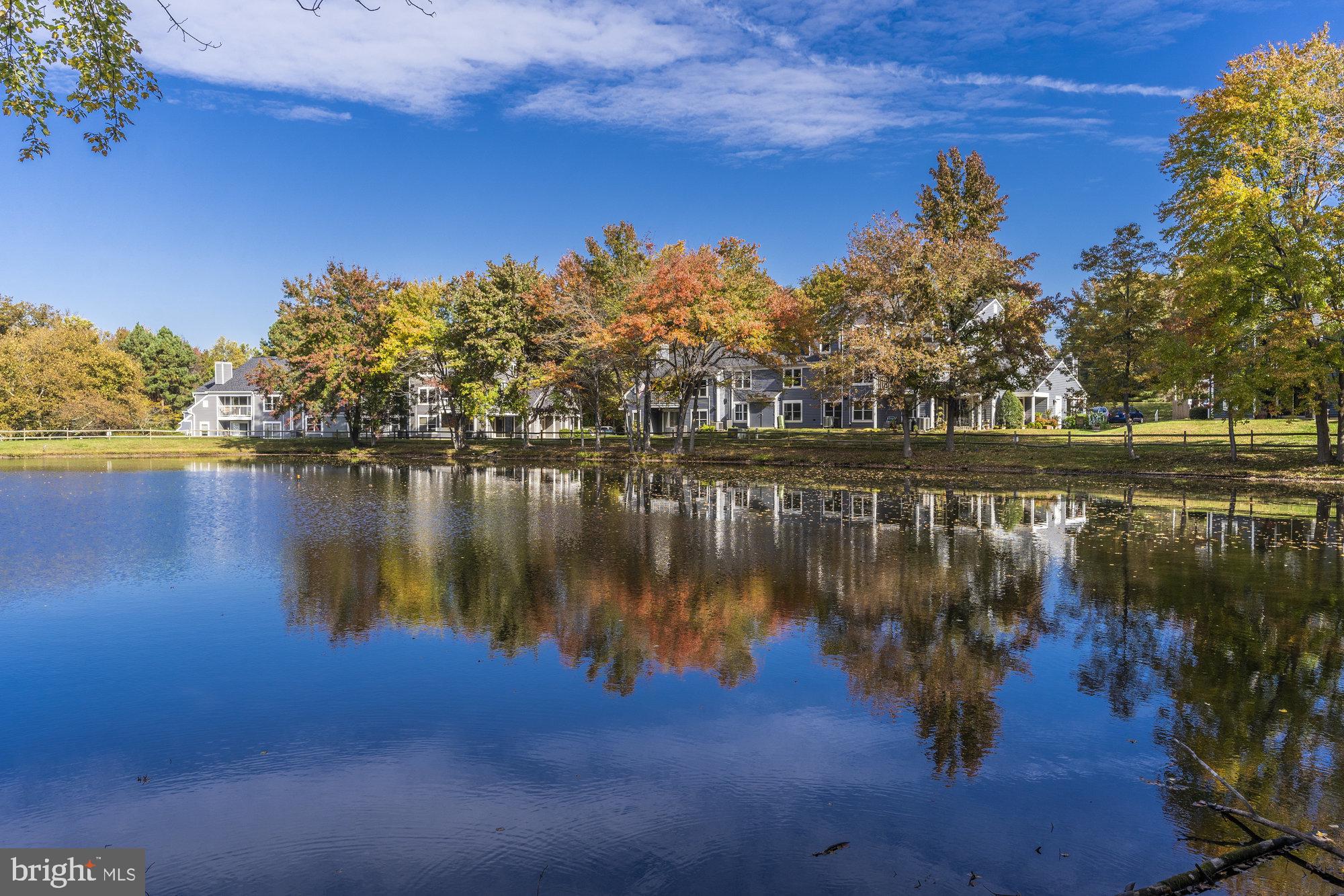 13611 Orchard Drive, Unit 3611 Clifton, VA 20124 - Photo 4 of 41