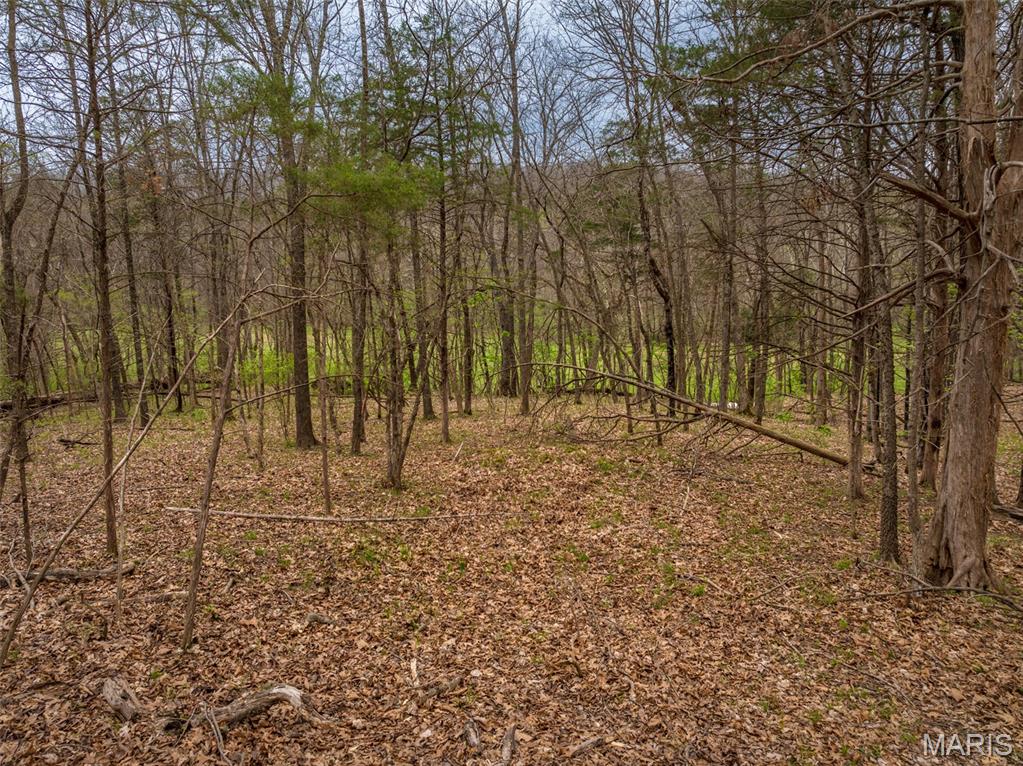 2903 Valley View Drive Innsbrook, MO 63390 - Photo 12 of 13